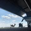 l1011a380pilot
